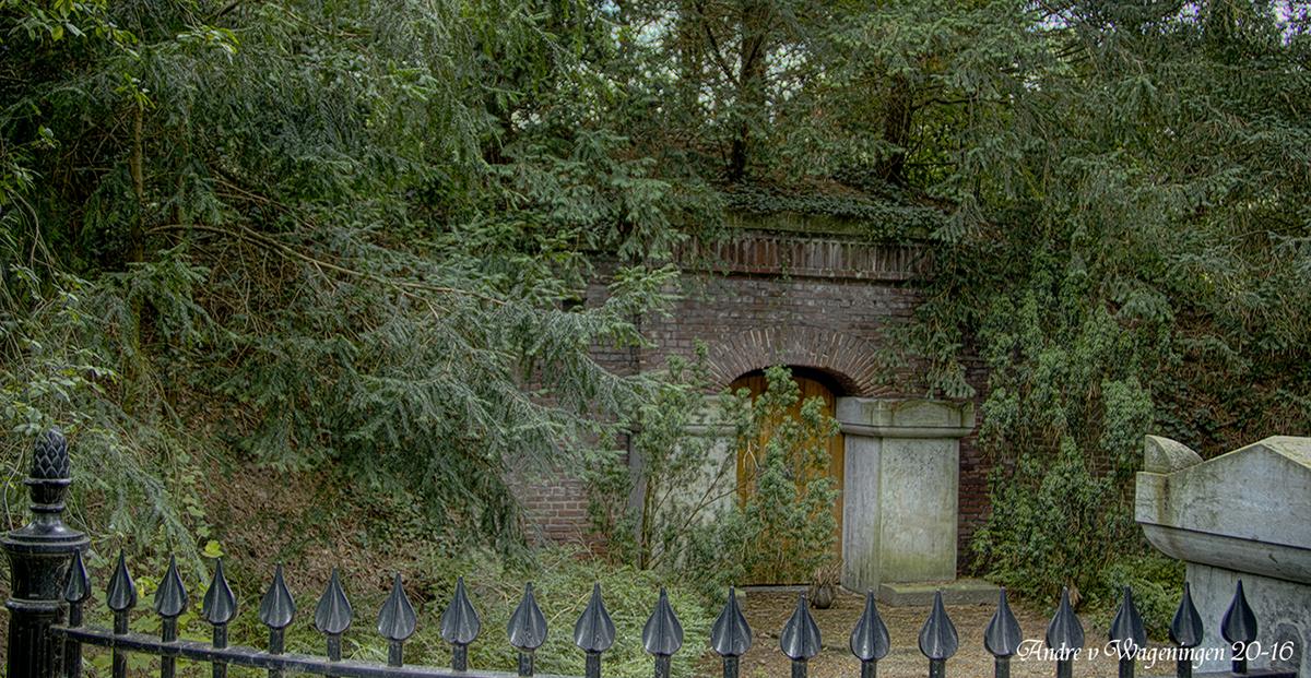 81-20160820-82f487.jpg