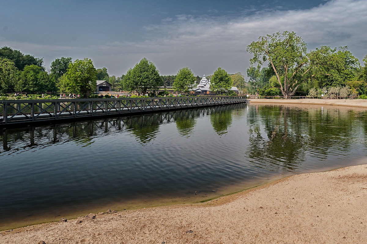81-20160820-20a149.jpg